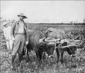 The Role of Belts in American Workwear Through the Decades