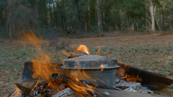 How to Make Pine Tar at Home (Traditional Method)