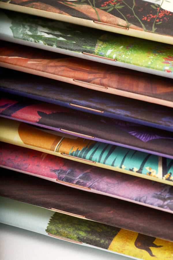 Field Notes - National Parks - Series F - Pocket Notebook